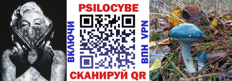 Псилоцибиновые грибы ЛСД  MEGA как зайти  Олонец 