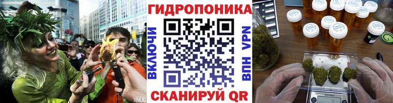Каннабис марихуана Олонец